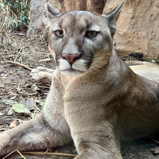 多摩動物公園～親子遊好地方
