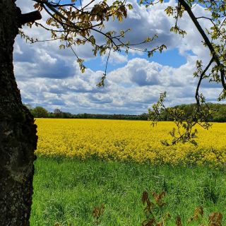 A Nature Haven Close to the City