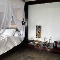 Romance in the Rainforest: Our Anniversary at Banyan Tree Bintan