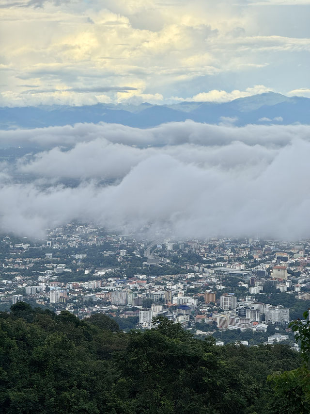 ดอยสุเทพ-ดอยปุย | ฤดูฝน ⛰️🌧️🌿🌳