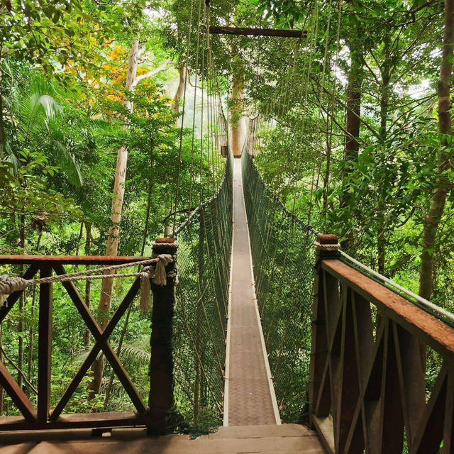 Jungle Trekking for the Adventurous Backpacker