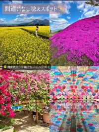 〜福島県〜2泊3日！間違いなし福島大満喫旅プラン