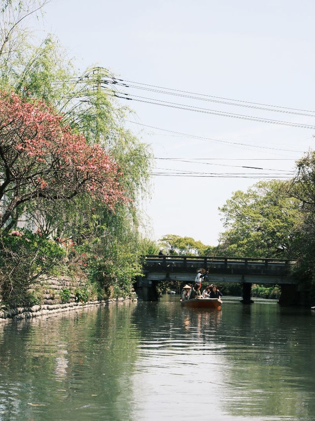 福岡｜柳川遊船特色體驗 🚣🚣
