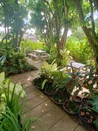 Klangsuan Cafe |ชุมพร