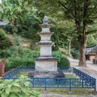 모든것이 조화로운