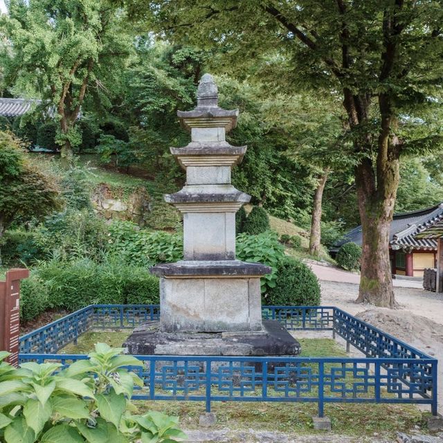 모든것이 조화로운