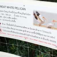 Bucolic | คาเฟ่ในเขาใหญ่ที่โอบล้อมด้วยธรรมชาติ