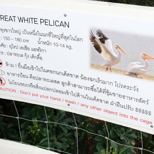 Bucolic | คาเฟ่ในเขาใหญ่ที่โอบล้อมด้วยธรรมชาติ