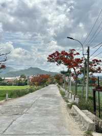 Tuy Hoa: a coastal city 