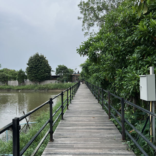 SATJA - Eatery & Cafe คาเฟ่ลับ ที่ต้องมาเยือน 🏕️