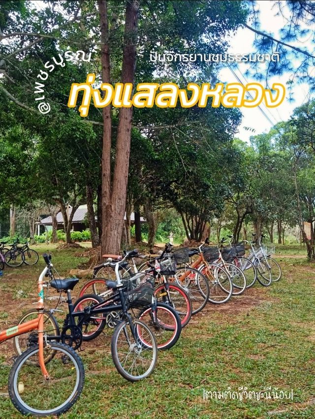 ปั่นจักรยานชมธรรมชาติที่สวยงาม
