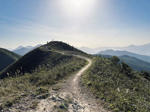 行山｜三山連走馬鞍山、彎曲山、大金鐘