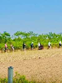 🔝 Outdoor Go Kart & Cycling 🚴 Activities in Hanoi 🇻🇳
