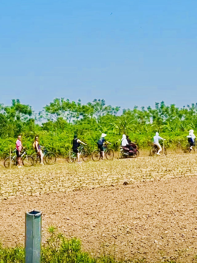 🔝 Outdoor Go Kart & Cycling 🚴 Activities in Hanoi 🇻🇳