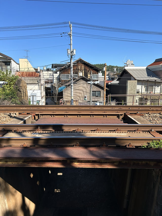 【広島 尾道】尾道旅行で出会った素敵なカフェ🚃