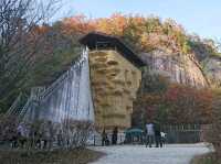 【星のブランコ:大阪府交野市】大迫力の吊り橋で紅葉を楽しむ🍁