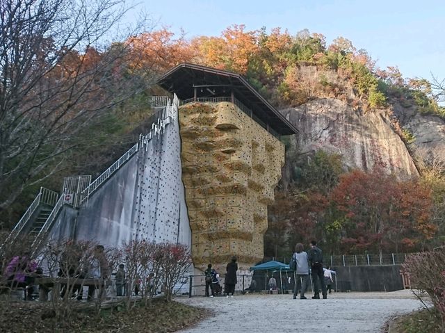 【星のブランコ:大阪府交野市】大迫力の吊り橋で紅葉を楽しむ🍁