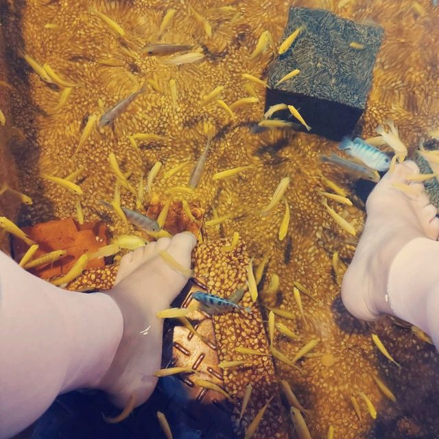 探索礁溪湯圍溝：溫泉與自然的完美融合