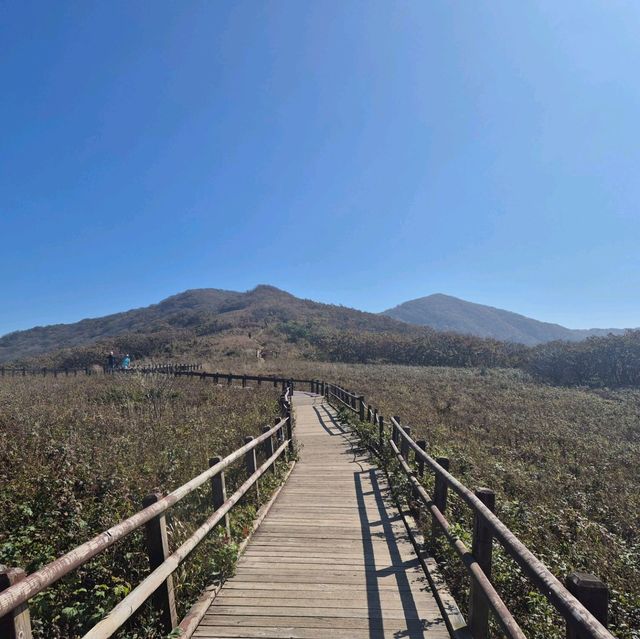 천상의 화원!!!  점봉산 곰배령!!!