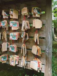 滿滿招財貓的日本豪德寺😻😻