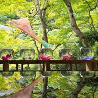 嵐山中的水鏡光影世界