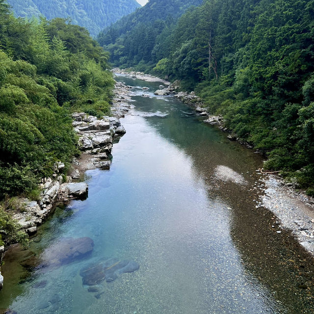 【岐阜】岐阜県関市にあるモネの池🐟