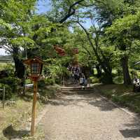 A Lucky Encounter with Mount Fuji at Lake Kawaguchi