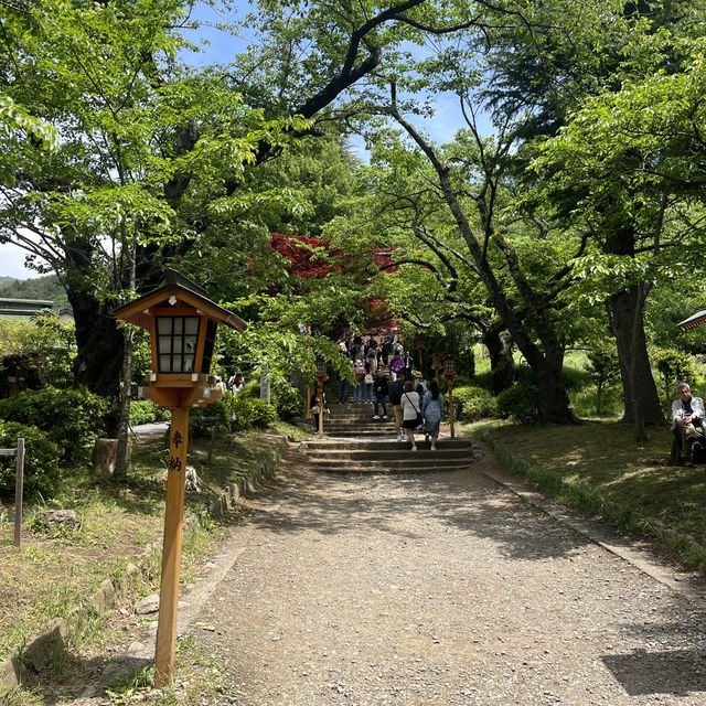 A Lucky Encounter with Mount Fuji at Lake Kawaguchi