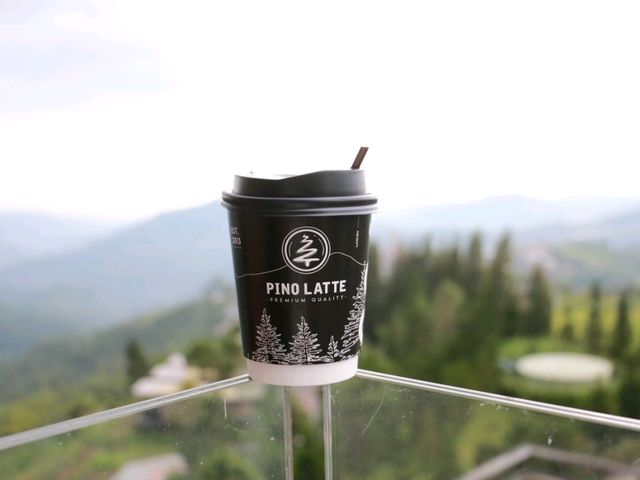 มาพักชมวิวที่ Pino Late 
