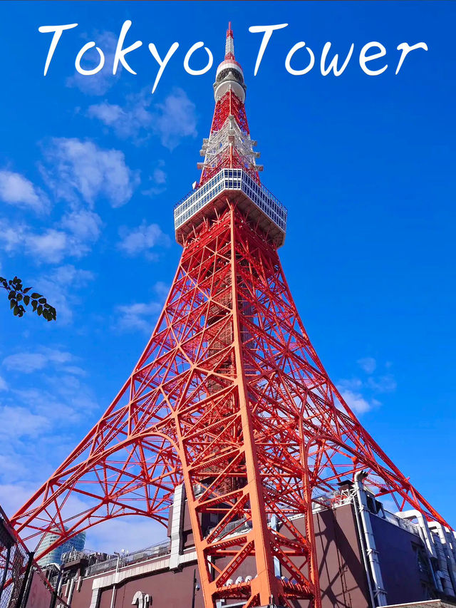 Tokyo Tower | โตเกียวทาวเวอร์