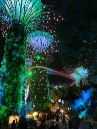Gardens by the Bay Light Show 🇸🇬 