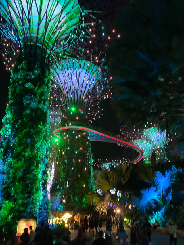 Gardens by the Bay Light Show 🇸🇬 