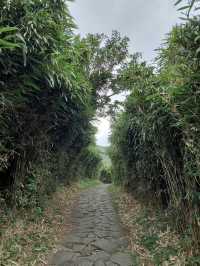 趕快來挑戰自己「陽明山東西大縱走」