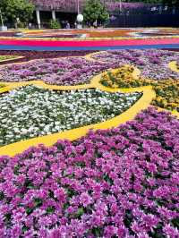 You won’t believe there are such lovely flower trails in Singapore
