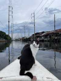 Bangkok's Hidden Gem💎 Sailing with CATS at Hua Takhe Old Market