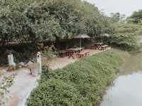 นิยายบ้านสวน ไทรน้อย
