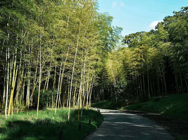 探索大阪萬博記念公園：歷史傳承與自然美景的完美結合🌳🏞️