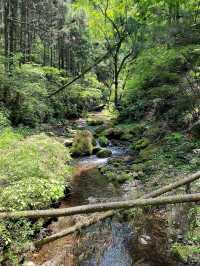 奧多摩町的隱藏自然瑰寶：東京行程中的靜謐綠洲⛰️🌿