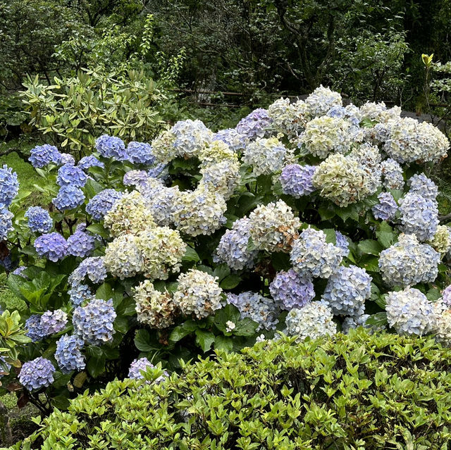 鹿兒島仙巖園神秘探險遊記🤩🥳