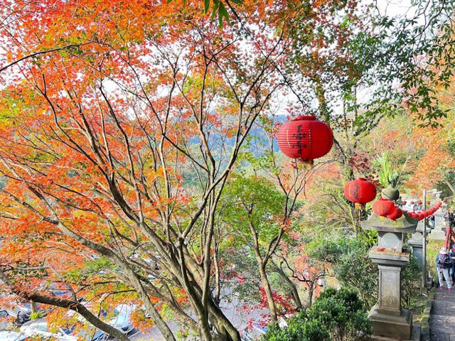 新北｜拱北殿賞楓