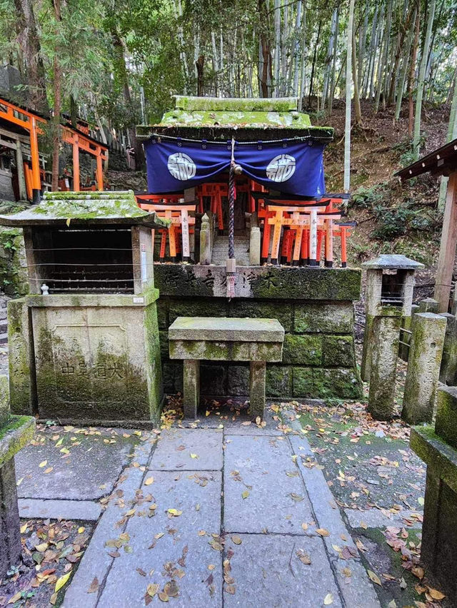 Fushimi Inrai หรือวัดเสาแดงที่เกียวโต ⛩️✨