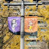 ONE PIECE in KUMAMOTO🍁🍂