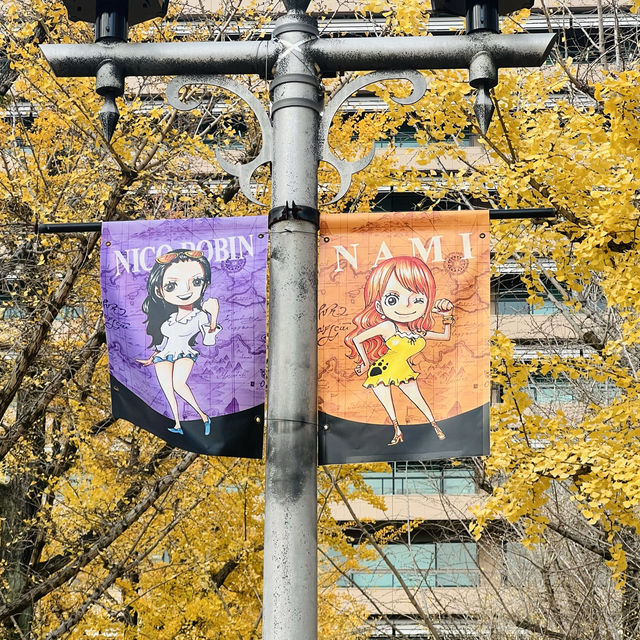 ONE PIECE in KUMAMOTO🍁🍂