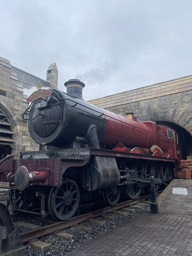 Stay Forever Young at Universal Studios Japan, Osaka✨