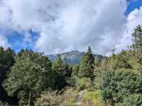 Alishan's Dawn to Dusk Magic