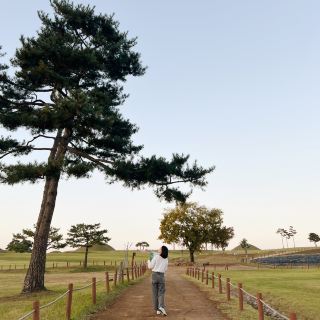 在義城召文國古墳群享受散步約會