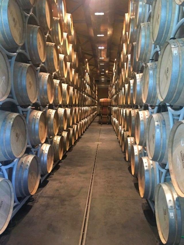 「托斯卡納紅酒Sassicaia」酒莊：浪漫名字，世界一流品質，酒迷朝聖之旅