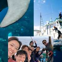 御藏島 — 與海豚共舞的海洋冒險 | Miyakejima Dolphin Sanctuary