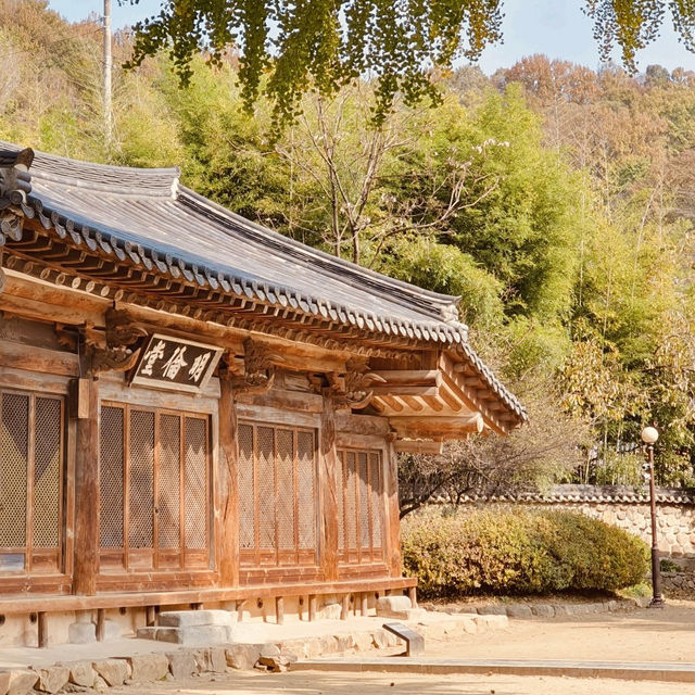 Jeonju Hyanggyo: A Serene Stroll Among Ginkgo Trees