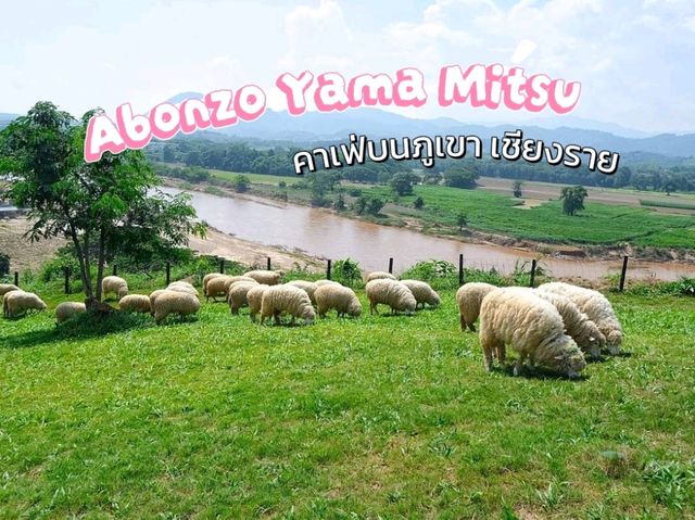 𝐀𝐛𝐨𝐧𝐳𝐨 𝐘𝐚𝐦𝐚 𝐌𝐢𝐭𝐬𝐮 🐑